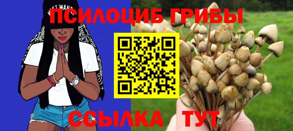 Урус-Мартан  Галлюциногенные грибы ЛСД  Вход с VPN 